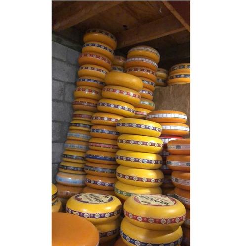 Cheese dummy canter cheese 35 cm - dummy cheese, Verzamelen, Merken en Reclamevoorwerpen, Nieuw, Ophalen
