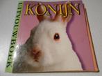 Konijn uitvouwboek karton, Ophalen of Verzenden, Zo goed als nieuw