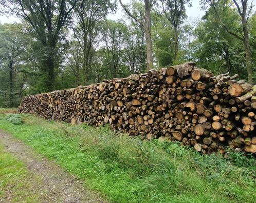 Promotion temporaire grumes pour bois de chauffage en 2m, Jardin & Terrasse, Bois de chauffage, Troncs d'arbres, Chêne, 6 m³ ou plus