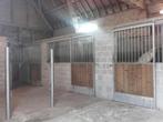 Weide en stal te huur, Mise à l'étable, 1 cheval ou poney