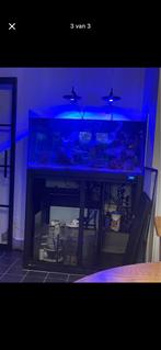 Zee aquarium, Dieren en Toebehoren, Vissen | Aquaria en Toebehoren, Ophalen, Gebruikt, Gevuld zeewateraquarium