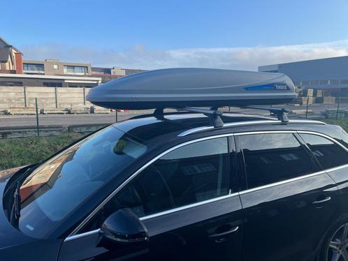 Thule ocean 500 skikoffer/dakkoffer, Autos : Divers, Coffres de toit, Utilisé, Enlèvement