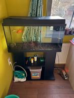Juwel aquarium met kast, Dieren en Toebehoren, Ophalen, Zo goed als nieuw