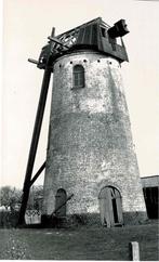 Lissewege - Witte Molen, Envoi, 1980 à nos jours, Non affranchie, Flandre Occidentale