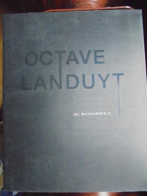 Octave Landuyt  5   Monografie, Boeken, Kunst en Cultuur | Beeldend, Nieuw, Schilder- en Tekenkunst, Verzenden