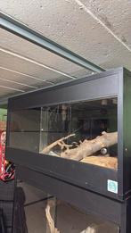 Betonplex terrarium, Ophalen, Gebruikt