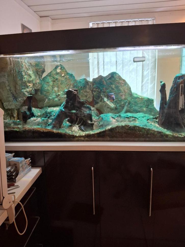 Aquarium 770 l, Animaux & Accessoires, Poissons | Aquariums & Accessoires, Comme neuf, Autres types, Enlèvement