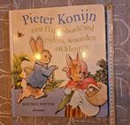 Pieter konijn kinderboek / zoekboek, Enlèvement ou Envoi, Utilisé