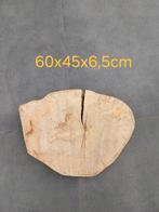 Boomstamtabletten voor boomstamtafel beuk, Doe-het-zelf en Bouw, Hout en Planken, Ophalen, Nieuw, Plank, 50 mm of meer