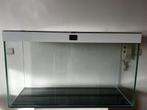 Aqarium “ Ciano” wit (100x60x40), Ophalen, Gebruikt, Leeg aquarium