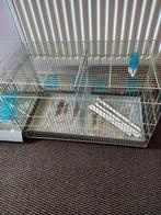 Cage d élevage pour oiseaux, Enlèvement