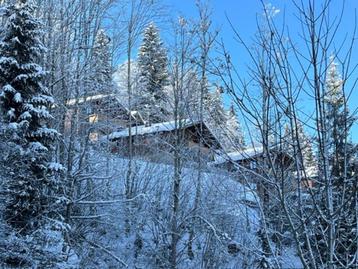 Wagrain, mooi 5kamer  chalet bij de piste hartje Ski-Amade beschikbaar voor biedingen