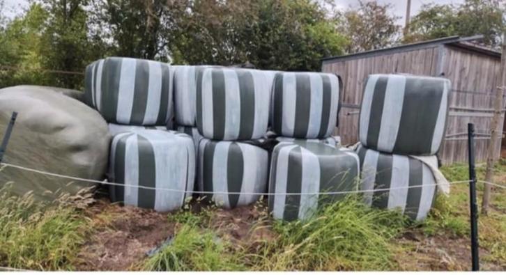 GEZOCHT HOOI VOOR PAARDEN, Dieren en Toebehoren, Dierenvoeding, Ophalen