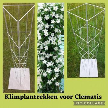 Klimplant Clematis klimroos passieflora Jasmijn Kamperfoelie beschikbaar voor biedingen