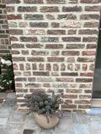 Klamp en peapstenen gevelstenen en zak met stukken, Doe-het-zelf en Bouw, Metselstenen, Ophalen, Zo goed als nieuw, Bakstenen