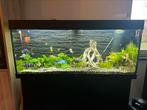 Juwel aquarium met kast, Dieren en Toebehoren, Vissen | Aquaria en Toebehoren, Ophalen, Zo goed als nieuw