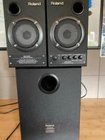 Roland DM-2100 speaker set, Audio, Tv en Foto, Professionele apparaten, Ophalen, Gebruikt, Audio