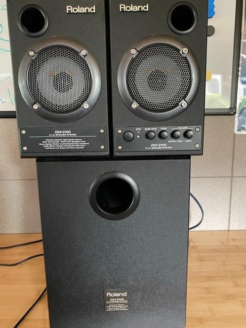 Roland DM-2100 speaker set, Audio, Tv en Foto, Professionele apparaten, Gebruikt, Audio, Ophalen