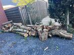 Brandhout, half droog, Tuin en Terras, Ophalen, Blokken