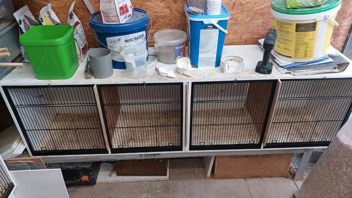 grote kweekkooi 173 deelbaar in 4, Dieren en Toebehoren, Vogels | Kanaries