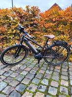 Speed pedelec cityzen Speed 380, Enlèvement, Comme neuf, Gazelle