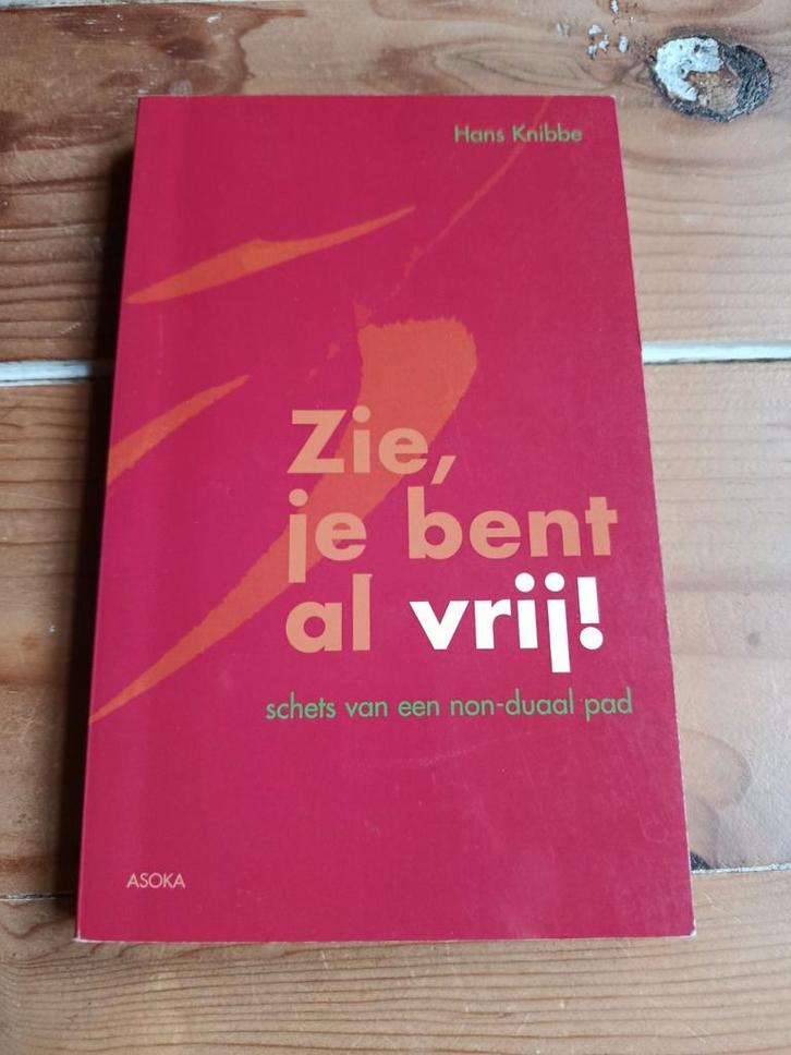Hans Knibbe - Zie, je bent al vrij, Boeken, Filosofie, Zo goed als nieuw, Ophalen of Verzenden