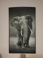 Canvas olifant 118x70, Ophalen, Zo goed als nieuw