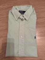Groen geruit hemd Ralph Lauren L, Kleding | Heren, Overhemden, Ralph Lauren, Ophalen of Verzenden, Zo goed als nieuw, Halswijdte 41/42 (L)