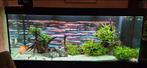 Juwel rio 450, Enlèvement, Utilisé, Aquarium vide