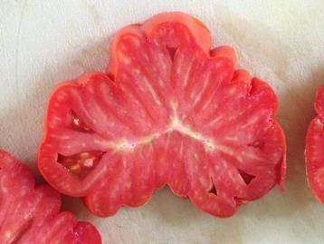 5 zaden tomaat Coeur de Boeuf Albenga - vleestomaat beschikbaar voor biedingen