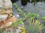 krabbescheer, Tuin en Terras, Ophalen