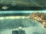 Baby zebra visjes te koop   + -  2 tot al 3 a 4 cm, Dieren en Toebehoren, Vissen | Aquariumvissen