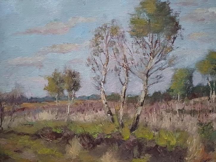 SCHILDERDOEKEN M.VAN DEN BEMPT, Antiek en Kunst, Kunst | Schilderijen | Klassiek, Ophalen of Verzenden