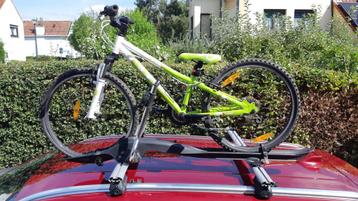 fietsdrager op het dak van de auto beschikbaar voor biedingen