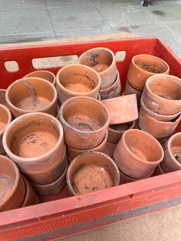 Lot kleine bloempotjes beschikbaar voor biedingen