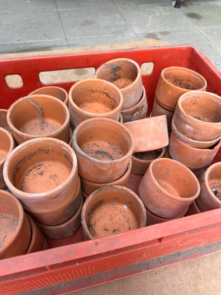 Lot kleine bloempotjes, Tuin en Terras, Bloempotten, Zo goed als nieuw, Ophalen