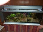 Aquarium 160x60x50 avec pompe, Enlèvement, Comme neuf
