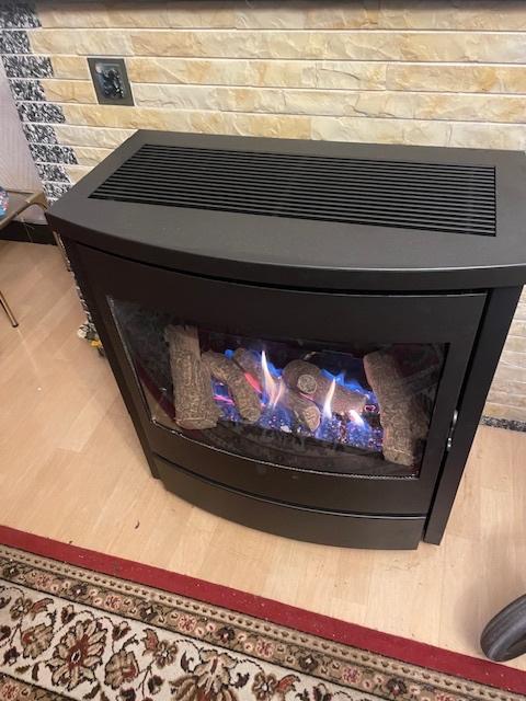 gaskachel 3 maanden oud, Huis en Inrichting, Kachels, Nieuw, Vrijstaand, Gaskachel, Gas, Ophalen