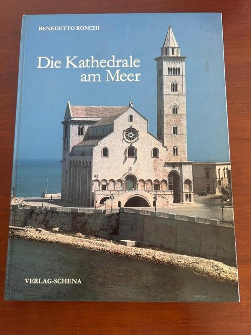 Droom weg bij de mooiste kathedraal aan zee!, Boeken, Kunst en Cultuur | Architectuur, Gelezen, Architectuur algemeen, Ophalen of Verzenden