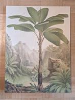 Tableau déco botanique sur panneau bois (neuf) – 60452 cm, Neuf, Enlèvement, Imprimé, Moins de 50 cm