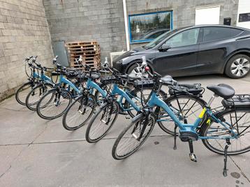 Partij 15 E-bikes: Bosch & Shimano - Handel/Verhuur beschikbaar voor biedingen