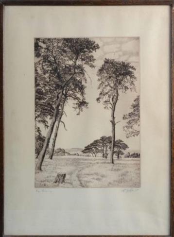 Heidezicht - Ets - Onleesbaar Gesigneerd beschikbaar voor biedingen