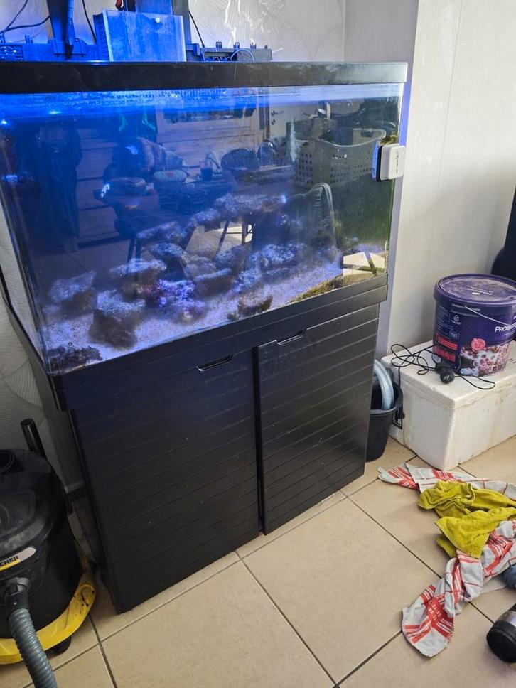 Zeeaquarium redsea reefer max250 complete hobby, Dieren en Toebehoren, Vissen | Aquaria en Toebehoren, Gebruikt, Gevuld zeewateraquarium