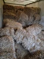 Kleine balen hooi, Dieren en Toebehoren, Dierenvoeding, Ophalen