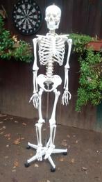 skelet, Diversen, Ophalen, Zo goed als nieuw