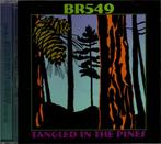 BR5-49 - TANGLED IN THE PINES - CD - 2004 - USA -, Verzenden, Zo goed als nieuw