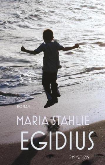 Te Koop Boek EGIDIUS Maria Stahlie beschikbaar voor biedingen
