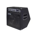 Laney - Combo Versterker, Muziek en Instrumenten, Ophalen, Zo goed als nieuw, Minder dan 500 watt, Overige typen