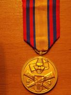 Congo medaille Merite arts sciences lettres (goud), Verzamelen, Ophalen of Verzenden, Landmacht, Lintje, Medaille of Wings