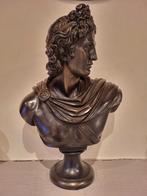 Buste d'Apollon en bronze par Belvedere, Enlèvement, Comme neuf